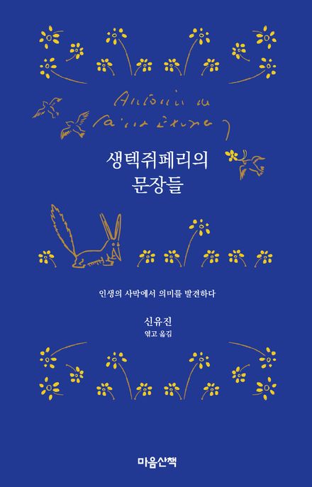 생텍쥐페리의 문장들 (인생의 사막에서 의미를 발견하다) 표지