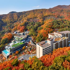 광고 메인 이미지