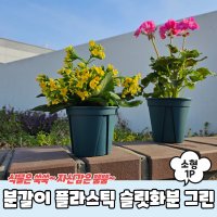 분갈이 플라스틱 슬릿화분 그린 소형