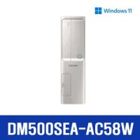 데스크탑 DM500SEA-AC58W+삼성모니터24형추가 한컴YTA