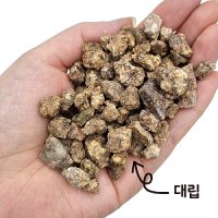 가든그린 세척 마사토 2kg 세척마사 상토 배양토 난석 분갈이 흙 가든그린