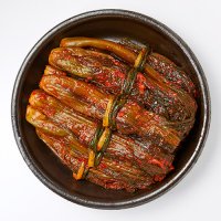 돌산갓김치 톡쏘는 익은 해남 여수 갓김치 택배 맛집  1개  3kg