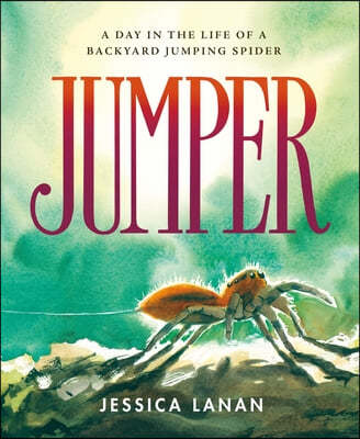 Jumper : A Day in the Life of a Backyard Jumping Spider