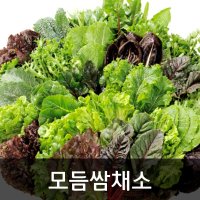 약수농장 모듬쌈채소 2kg  1박스