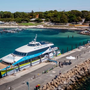 호주 퍼스 로트네스트 섬 페리 왕복 티켓 (옵션 자전거 대여)