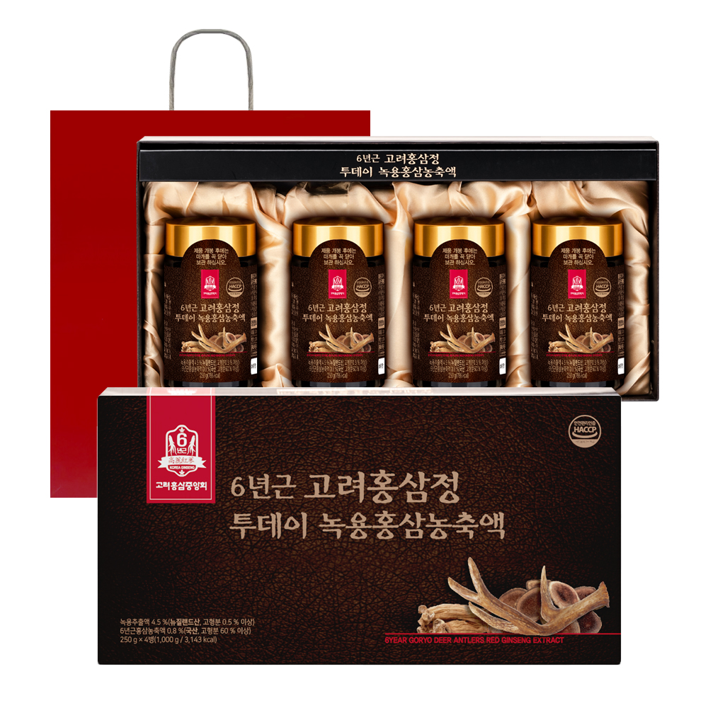 고려홍삼중앙회 6년근 고려홍삼정 투데이 녹용홍삼 농축액 + 쇼핑백  1kg  1세트