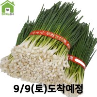 국내산 깐쪽파 쪽파 파 1단 (약1Kg)  1kg  1개