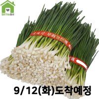 국내산 깐쪽파 쪽파 파 1단 (약1Kg)  1kg  1개