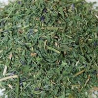 알팔파 잎 컷 (Alfalfa leaf cut / 자주개자리)