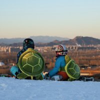 스노우보드 엉덩이 보호대 성인용 거북이 자라 쿠션 캐릭터쿠션