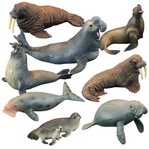 바다 동물 피규어 모형 바다 사자 물개 듀공 생물 선-어두운