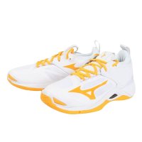 미즈노 미즈노 MIZUNO 남성 여성 배구화 웨이브 모멘텀 2V1GA211254