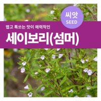 세이보리 섬머 허브 씨앗 900립