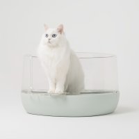 핏펫 배변 스트레스를 최소화한 냥쌤 고양이 투명화장실 평판형 초대형
