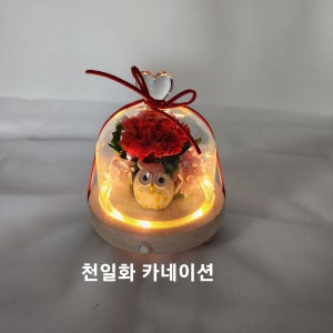 카네이션 어버이날꽃선물 부엉이하트유리돔 천일화, 기쁨플라워😊