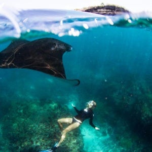 인도네시아 발리 누사페니다 만크가제 스노클링 투어