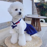 만들기 패턴 - P1690 - Dog hanbok(강아지 한복 여아)