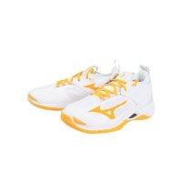 미즈노 배구화 웨이브 모멘텀 2 MIZUNO V1GA211254