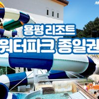 [강원도] 강원 평창 용평리조트 워터파크 입장권 (성인, 소인)