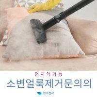 침대청소비용 매트세척 매트리스살균소독 침구살균 소변냄새제거 오줌냄새제거 집먼지진드기알레르기 강아지오줌청소 라텍스매트리스세탁 매트청소업체 집먼지진드기이불팡이제거 진드기이불