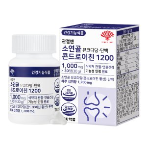 관절엔콘드로이친1200 최저가 가성비상품