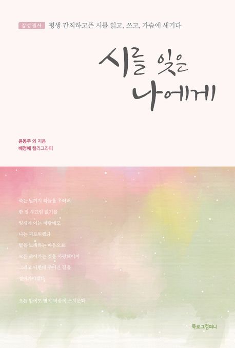 시를 잊은 나에게 (평생 간직하고픈 시를 읽고, 쓰고, 가슴에 새기다)