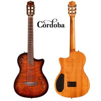 코르도바 스테이지 엣지 버스트 일렉 나일론 클래식 기타 cordoba