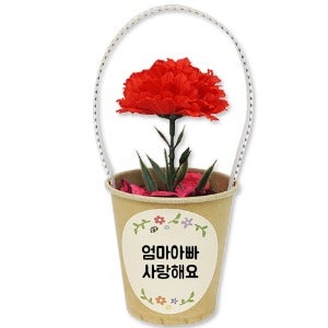 카네이션 화분방향제(5인용) 유치원 어린이집 가정의달 만들기 diy 키트