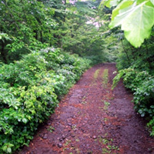 아름다운 리조트 키즈룸 벤츠 E220d 4MATIC2박3일패키지 울산제주도항공권 김포공항부산