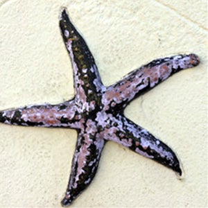 미르빌리조트 독채20평 LF 소나타LPG 2박3일패키지 광주제주항공 6월제주도항공권