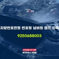 차량번호판등 번호등 넘버등 램프 좌측 (9250688003)