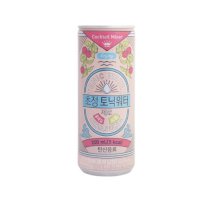 일화 초정 토닉워터 제로 홍매실 시소 250ml