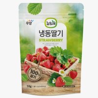 브레드샵 냉동 딸기 무가당 홀 1kg