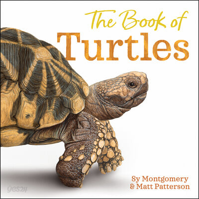 (The)book of turtles