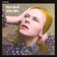 수입 David Bowie - Hunky Dory Remastered 180g LP