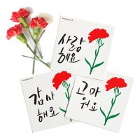 유비코퍼레이션 캘리그라피 감사문구 미니 엽서 편지 카드