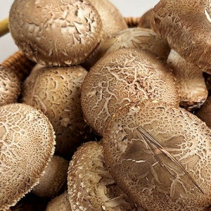 쫄깃하고 향긋한 무농약 백화송이향 버섯 500g