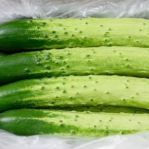 수분 가득한 백다다기 오이 2.8kg (15개)