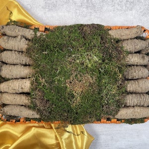 더덕등채반 선물세트 2호 1.2kg (상 사이즈, 14-18뿌리 내외)