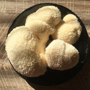 건강에 최고인 생 건조 노루궁뎅이버섯 100g