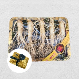 풍기인삼 선물세트 1호 750g (왕대 사이즈)