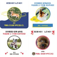 사이니즈 강아지 문패 팻말 자석부착 도어사인 초인종금지 벨누르지마세요 위급상황시 구해주세요 도어사인