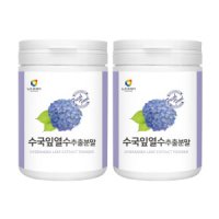 수국잎 추출물 분말 가루 100g x 2통