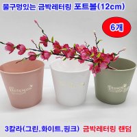 샤인몰 플라스틱 포트볼POT 금박스티커 랜덤발송 6개 3칼라선택 플리스틱화기 봄맞이