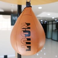 NOVABOXING 노바복싱 875 스피드볼 권투용품 격투기