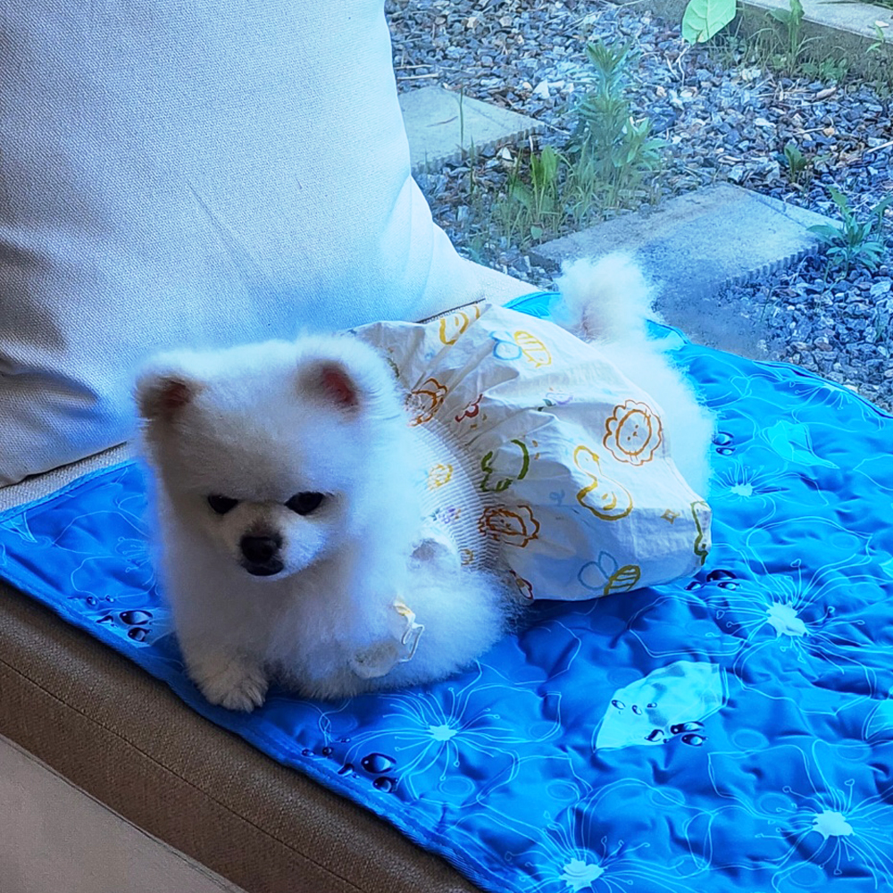 카이르 국산 쿨젤 쿨매트 냉감 여름 침대 쿨링 매트리스 아이스 버블 미니싱글