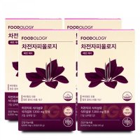 푸드올로지 차전자피 배변케어 6000mg 20포 4개_S