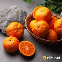 [산지직송][제주한경농협] 카라향 (귤로향) 4kg 소과