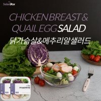 샐러드박스 샐러드도시락 닭가슴살&메추리알샐러드(245g)x2팩