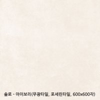 솔로 - 포세린타일 무광타일 600 600각타일 상가타일 투레빗타일